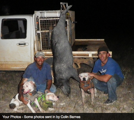 Screen Shot 2013-10-02 at 1.34.14 PM